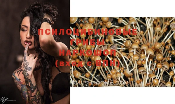 PSILOCYBIN Мегион