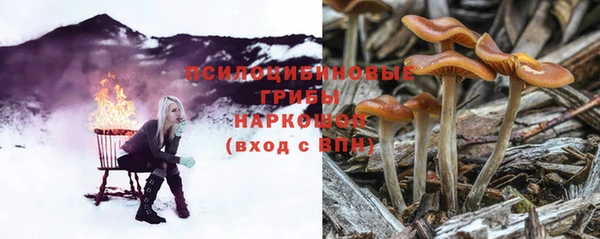 PSILOCYBIN Мегион