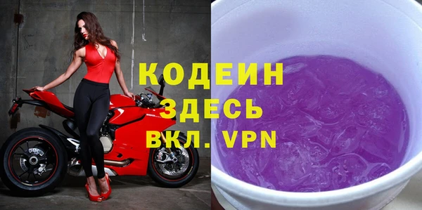 прущие грибы Чита