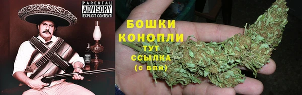 PSILOCYBIN Мегион