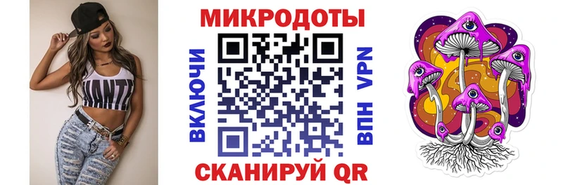 закладка  Хилок  Псилоцибиновые грибы GOLDEN TEACHER 